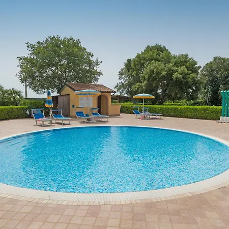 Il Girasole - Ulivo * Venturina Terme