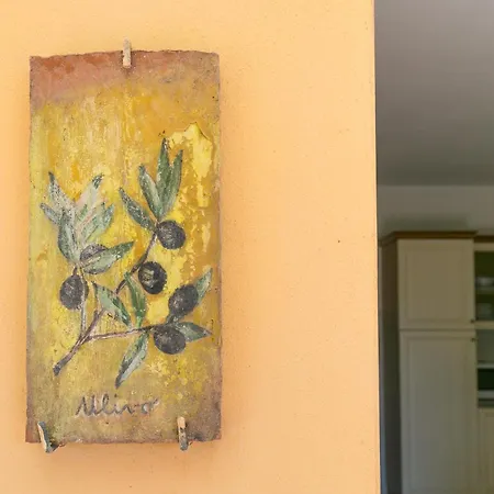Farm stay Il Girasole - Ulivo