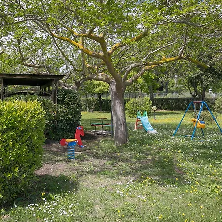 Farm stay Il Girasole - Ulivo Venturina Terme
