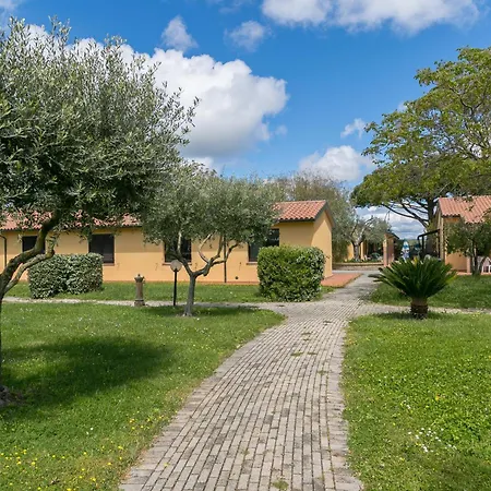 Il Girasole - Ulivo Venturina Terme